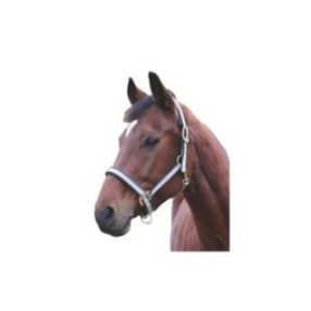 Exkluzív fejző különböző színben