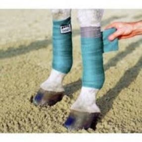 Bokavédők és fáslik