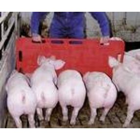 Állatmozgatás, szelidítés