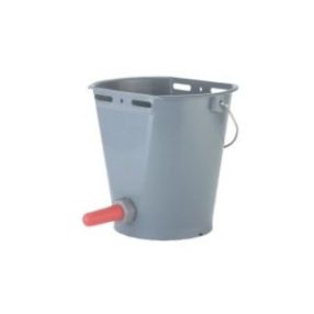 Borjúnevelés és választás
